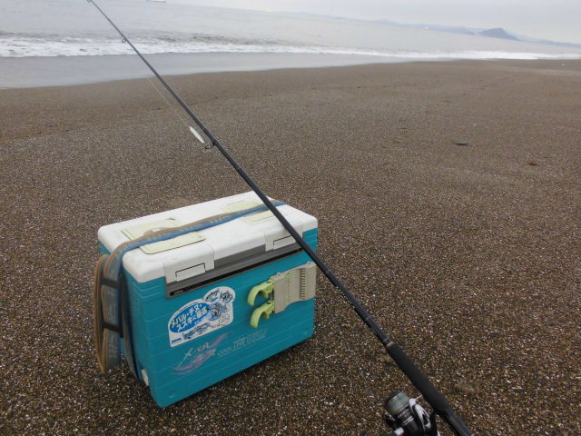 夏のサーフで釣れた魚はどうやって保管 キープ する 表浜のルアー釣り始めました